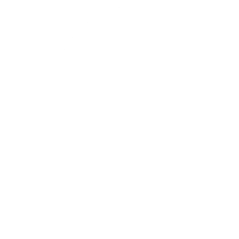 logotipo bareldesvan blanco